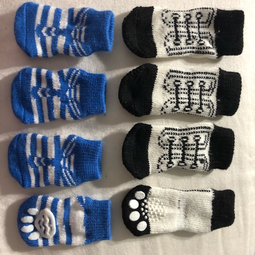 Socks and training ring bell